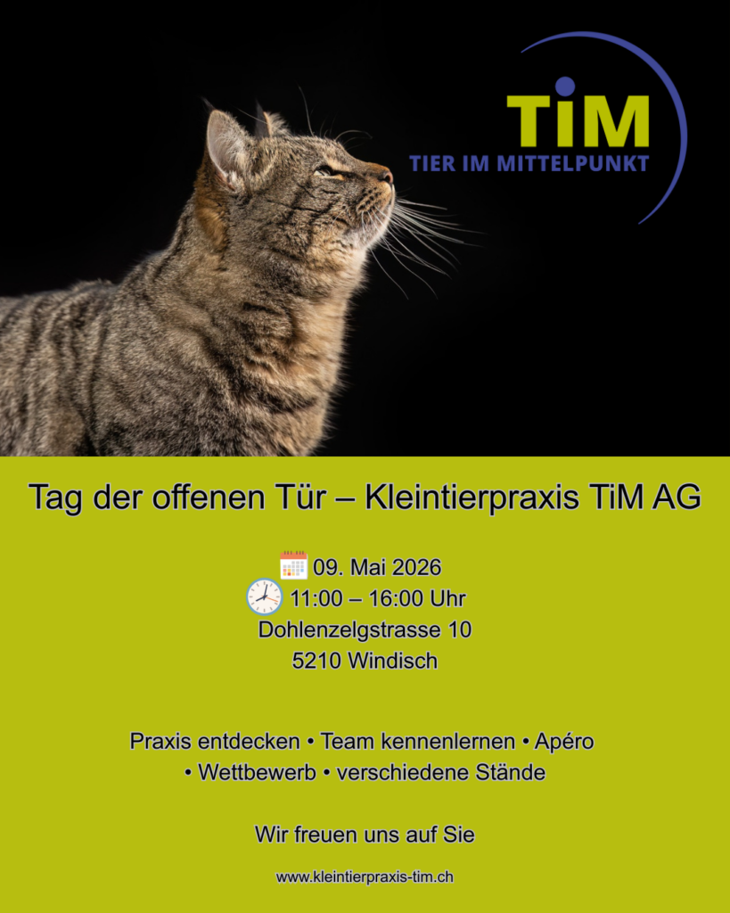 Tag der offenen Tür – Kleintierpraxis TiM